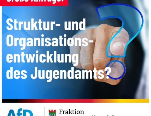 Struktur- und Organisationsentwicklung des Jugendamts 