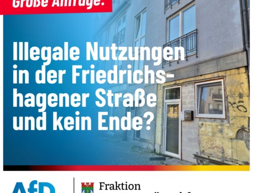 Illegale Nutzungen in der Friedrichshagener Straße und kein Ende? 